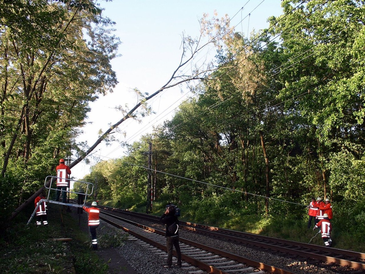 POL-NI: Baum auf Oberleitungen gestürzt -Bild im Downlaod-