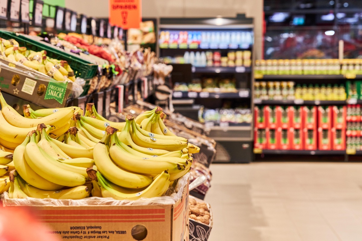 Gemeinsam für mehr Klimaschutz im Bananenanbau: Kaufland und Aktionsbündnis gehen voran