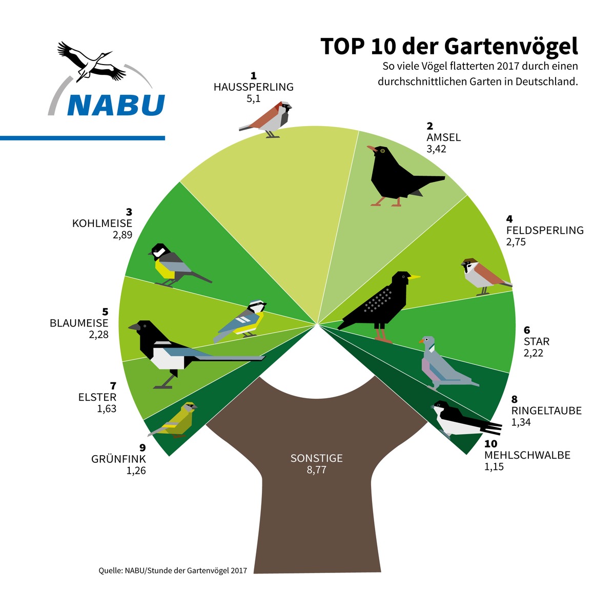 NABU: Vatertag bis Muttertag mit Vögeln verbringen / NABU, NAJU und LBV laden vom 10. bis 13. Mai zur 14. &quot;Stunde der Gartenvögel&quot;