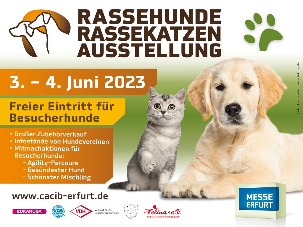 Tierisch was los zur Rassehunde- und Rassekatzen-Ausstellung am 3. und 4. Juni in der Messe Erfurt