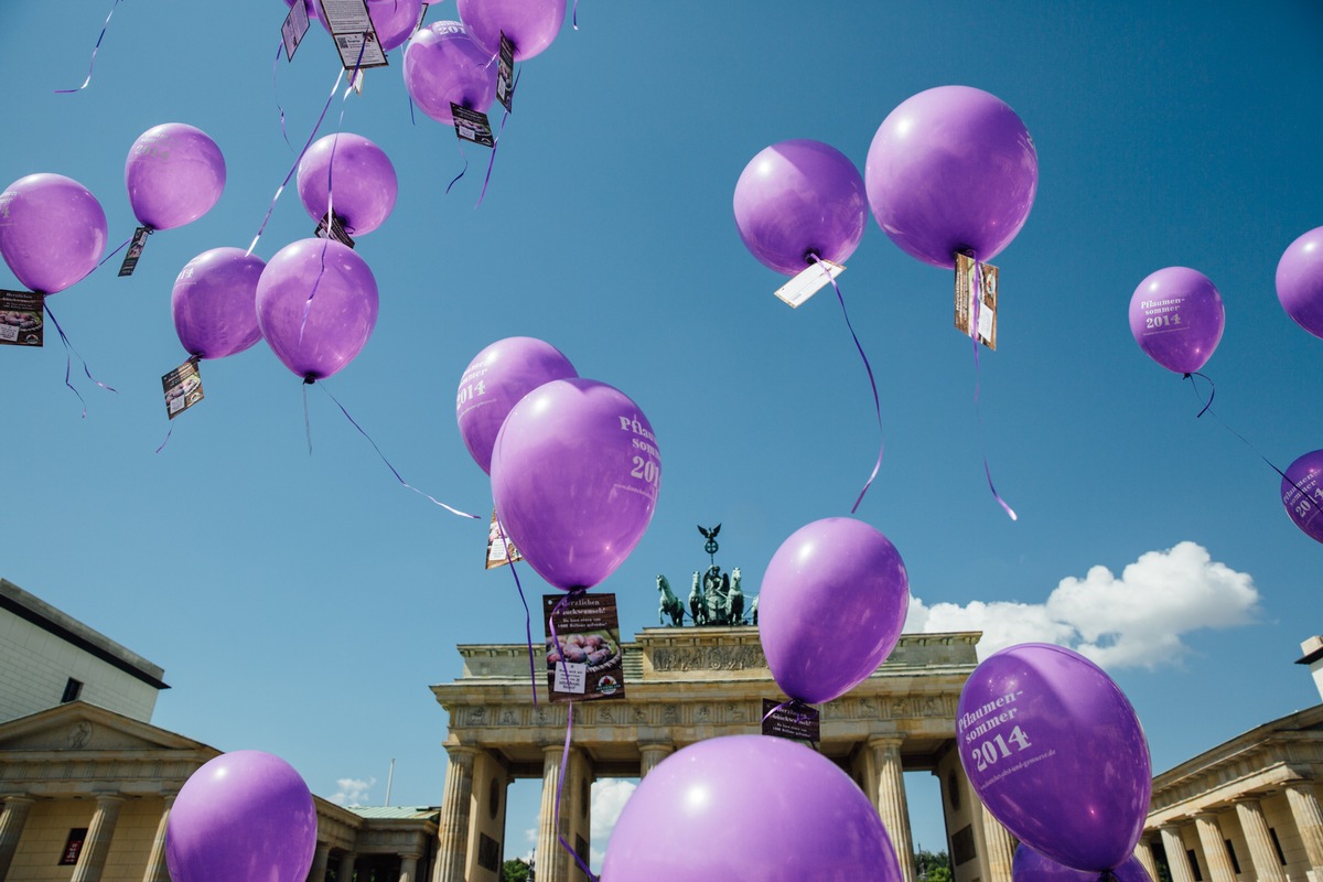 Startschuss zur Pflaumen- und Zwetschgensaison: Die BVEO lässt 1.000 Ballons in den Berliner Himmel steigen (FOTO)