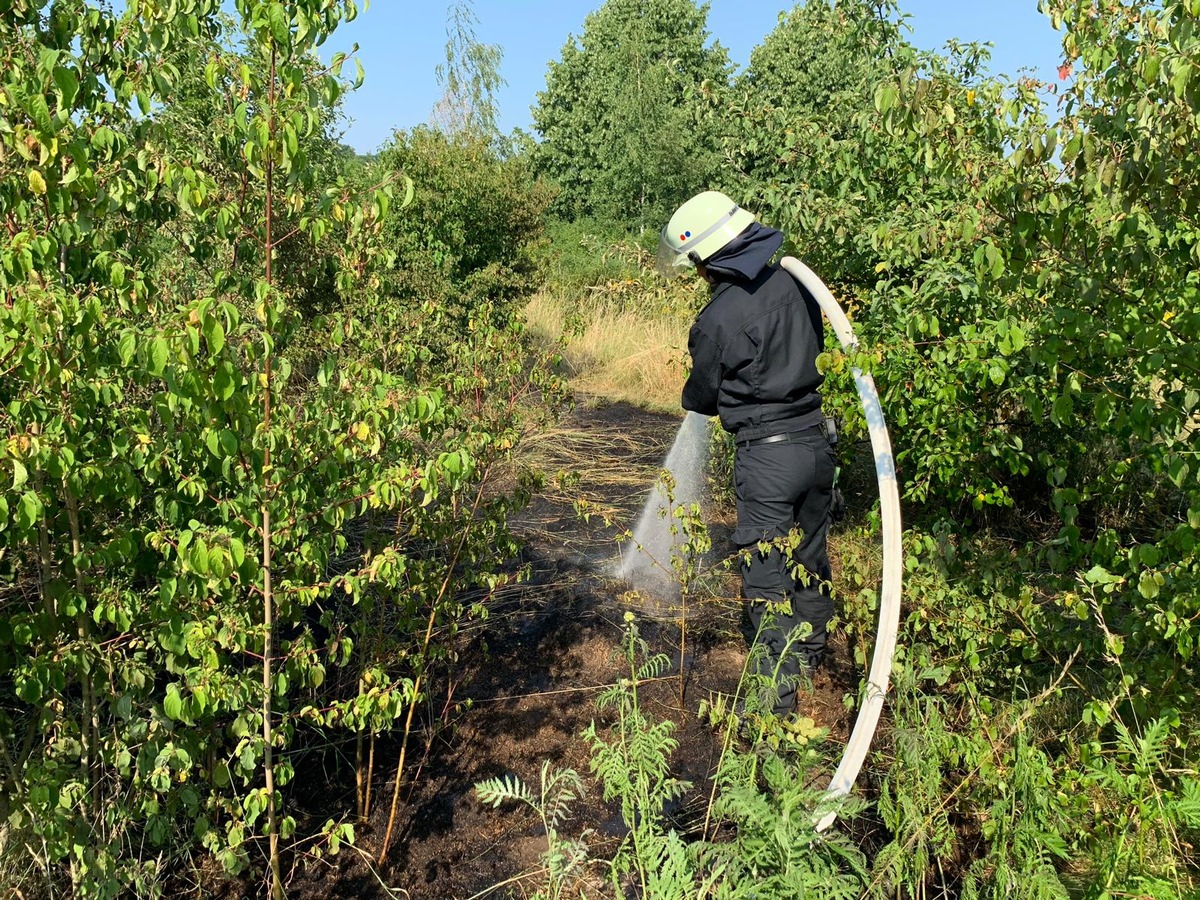 FW-Erkrath: Erneuter Brand von Unterholz an der Bergischen Allee