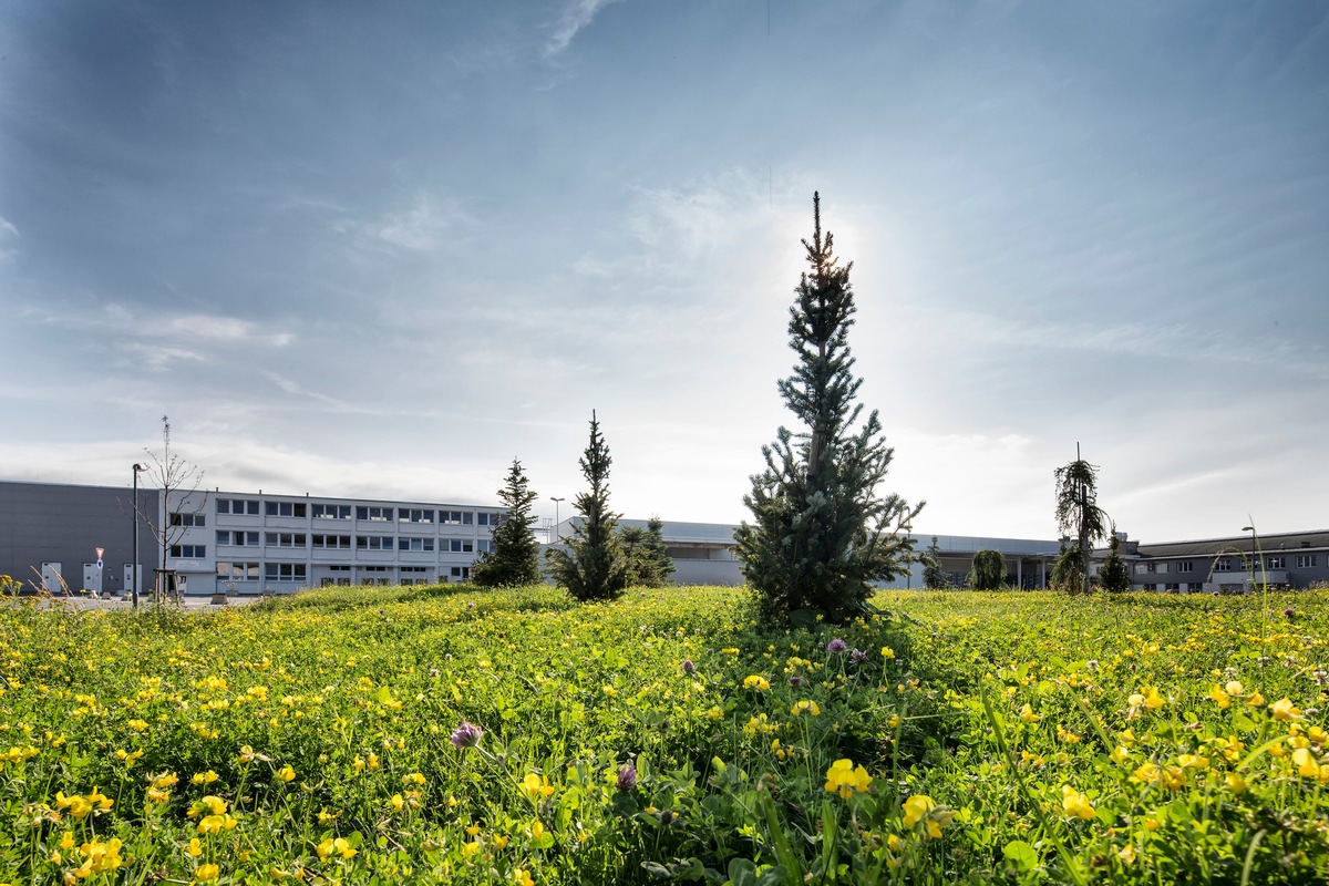 Internationaler Tag der biologischen Vielfalt: ŠKODA AUTO präsentiert ausgewählte Projekte zum Erhalt der Biodiversität