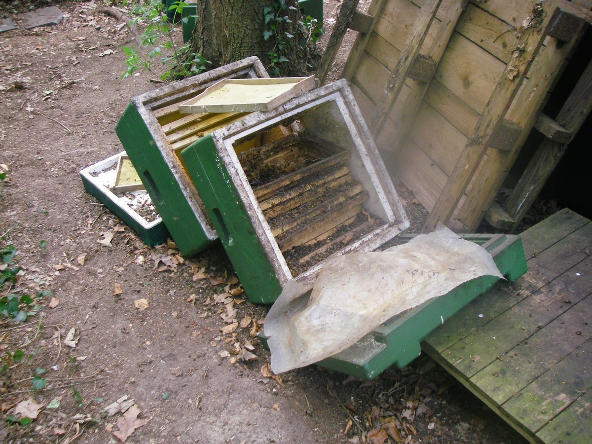 POL-DN: Bienenvolk der Behausung beraubt