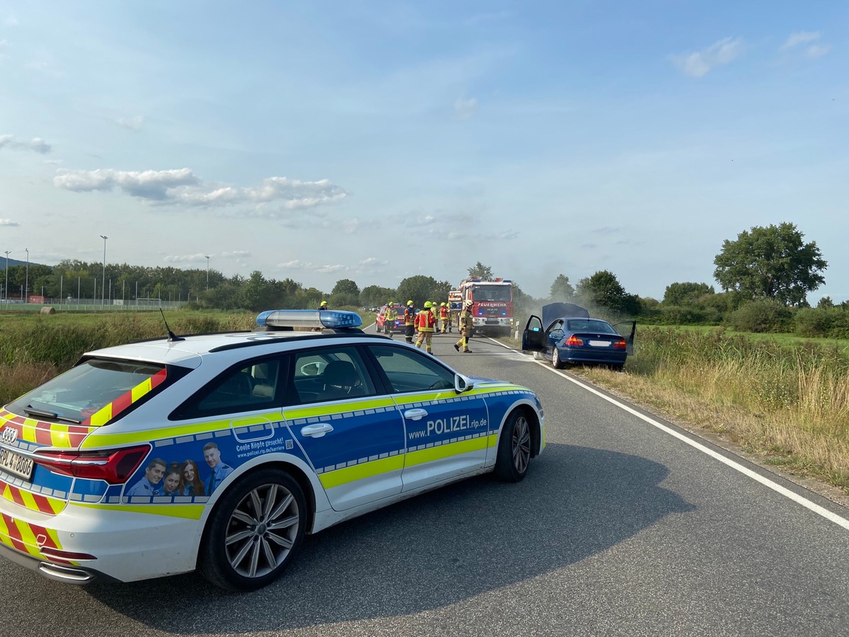 POL-PDNW: PKW-Brand auf B271