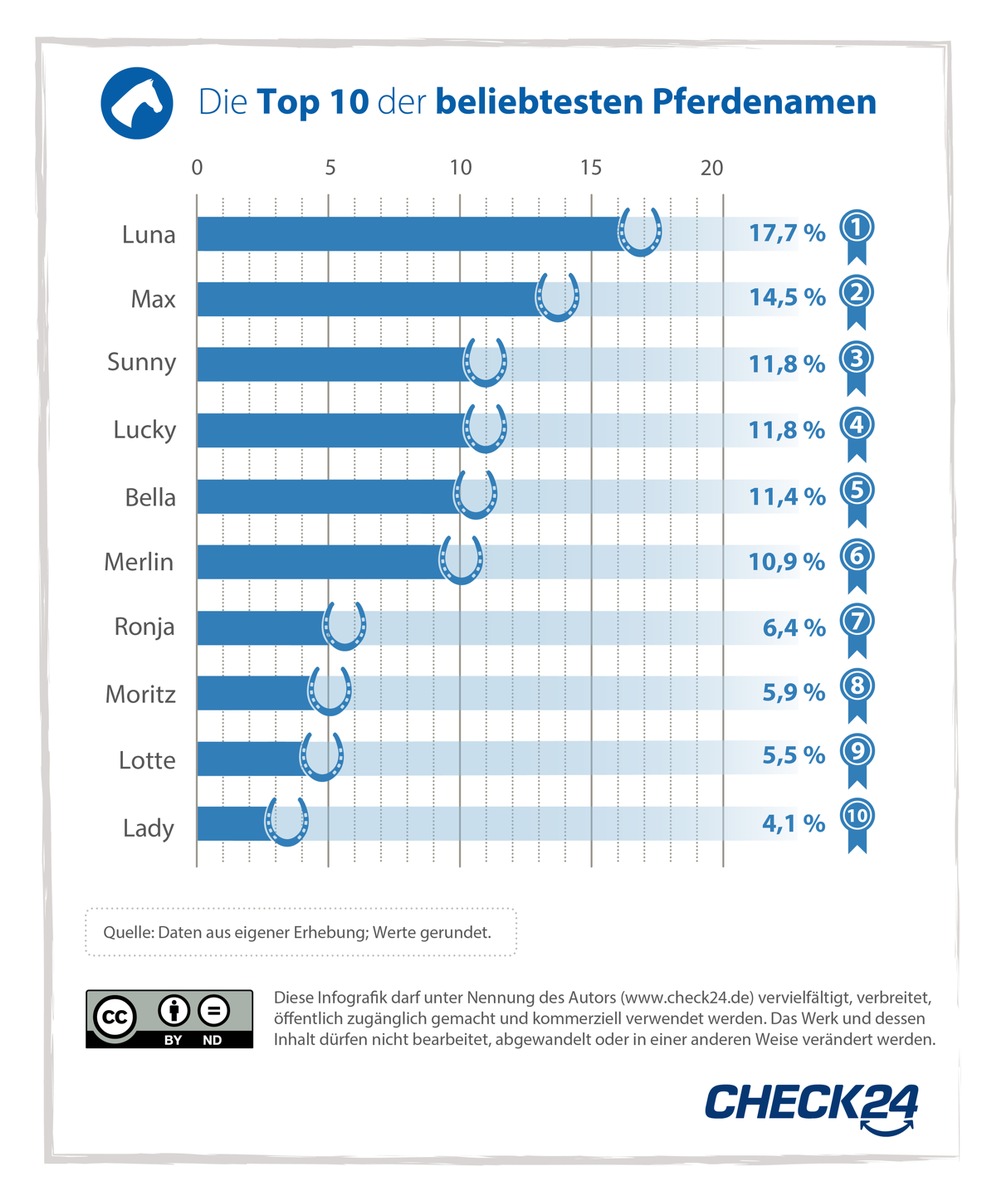 Pferdenamen: Luna, Max und Sunny sind am beliebtesten