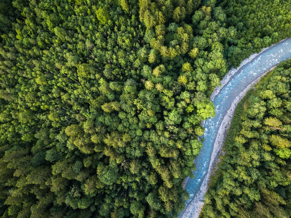 AFRY unterstützt Biodiversitäts-Pilotprogramm der internationalen Finanzinstitution Nefco