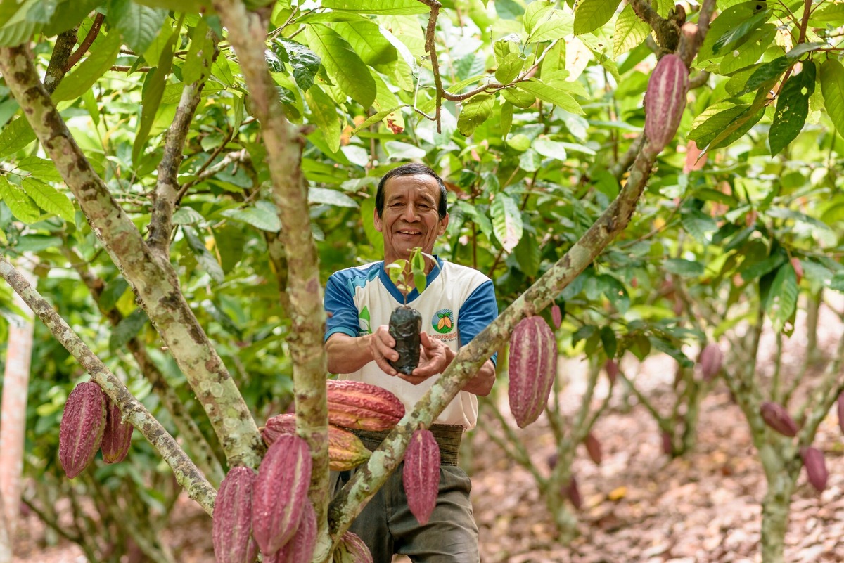 Medienmitteilung: Trotz Multikrisen: Solide Fairtrade-Nachfrage auf hohem Niveau