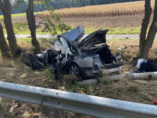 POL-CUX: Schwerer Verkehrsunfall auf der B71 - Fahrzeugführer verstirbt noch an der Unfallstelle (Lichtbild in der Anlage)