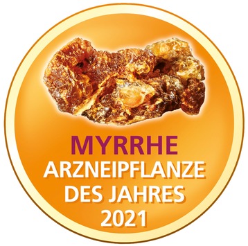 Neue Studie an der Universität Regensburg: Myrrhe lindert Entzündungen im Darm