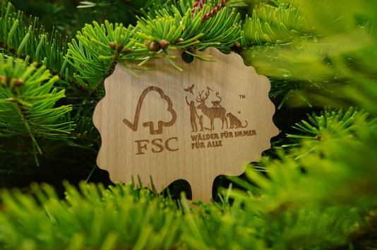 Ein Weihnachtsbaum mit Haltung - FSC Deutschland schafft Klarheit für Verantwortung unterm Christbaum