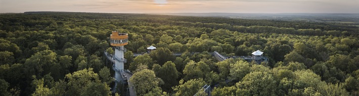 PM der TTG 34-2025 Zwischen Himmel und Hainich: Thüringens Baumkronenpfad feiert Jubiläum