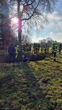 FW-OLL: Pferdrettung aus Graben