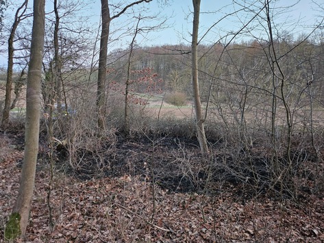 POL-HI: Waldrand gerät in Brand - Zeugenaufruf