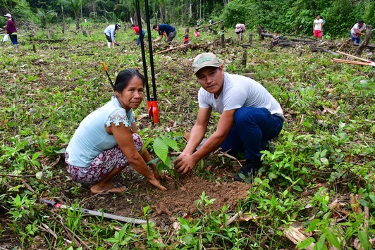 Caritas: Menschenrechte indigener Gemeinschaften stärken, Regenwald schützen