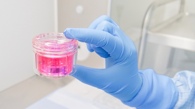 So viele Gewebespenden wie noch nie - eine Gemeinschaftsleistung!