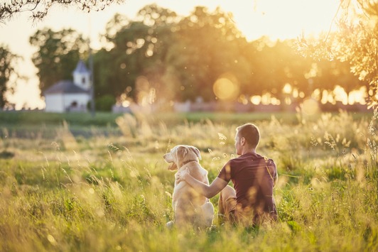 September ist Schmerz-Awareness-Monat / Endlich schmerzfrei: 5 Dos & Don'ts, die Hunden mit Arthrose wirklich helfen