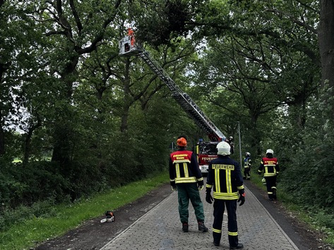 FW-AUR: Teile von Baumkrone absturzbedroht