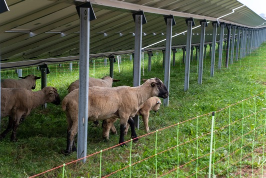 Was ein Solarpark der Region wirklich bringt