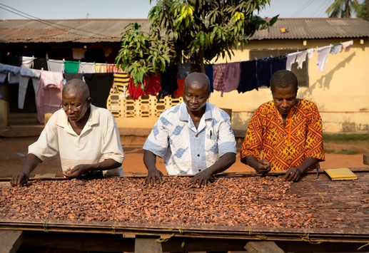 Bitterer Beigeschmack zum Weihnachtsfest: Was Schokolade mit illegaler Kinderarbeit und moderner Sklaverei zu tun hat