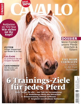 Magazin CAVALLO will sensibilisieren: Spaziergänger bringen sich selbst und Pferde auf der Weide häufig in Lebensgefahr