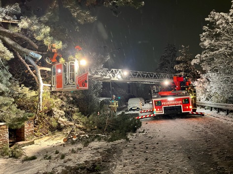 FW Stuttgart: Schwerer Neuschnee führt zu umgestürzten Bäumen