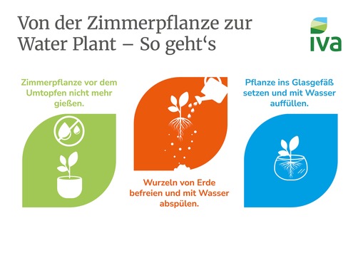 Grüne Highlights: Tipps für Water Plants