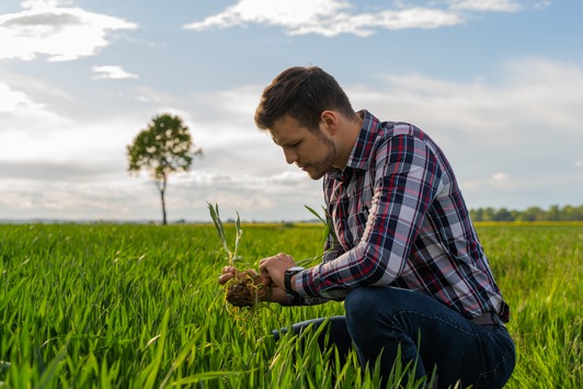 Cargill geht Partnerschaften mit Landwirten ein, um regenerative Landwirtschaft in Deutschland zu unterstützen