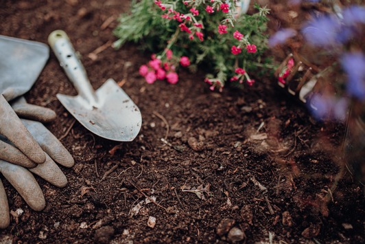 Frühlingsbeginn: Mit Kompost den Gartenboden verwöhnen