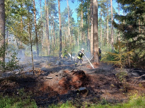FW Südheide: 3500m² Waldboden brennen in Unterlüß