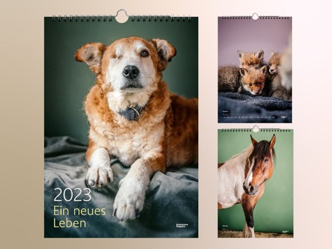 Der Greenpeace Magazin-Kalender 2023 zeigt Porträts charakterstarker Tierpersönlichkeiten, die aus Notsituationen befreit wurden und nun ein neues und gesundes Leben führen dürfen