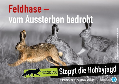 Kampagne: Schluss mit der Hobbyjagd / Novellierung der Jagdgesetze in Rheinland-Pfalz und in Brandenburg