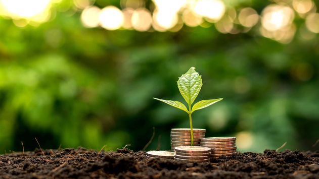ZDFzoom-Doku über scheinbar nachhaltige Geldanlagen: „Grünes Geld – Fragwürdige Geschäfte mit dem guten Gewissen“