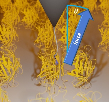 Neue Reibungsart in Ligand-Protein-Systemen entdeckt