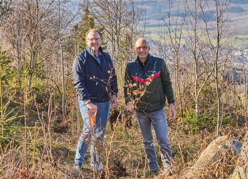 Zum Tag des Waldes: Warum Aufforstung für Krombacher mehr ist als Naturschutz