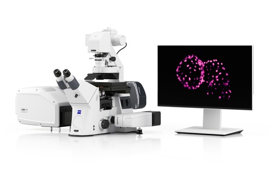 ZEISS Lightfield 4D für instantanes volumetrisches High-Speed-Imaging / Erfassung physiologischer und neuronaler Prozesse in 3D