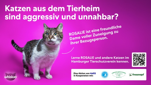 Mars-Studie: Unsicherheiten bremsen Tieradoptionen - Hamburger Kampagne schafft Orientierung