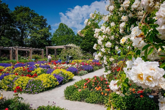 Rosenvielfalt und Rosengartenfest im egapark / Der 22. Juni 2025 steht ganz im Zeichen der Königin der Blumen