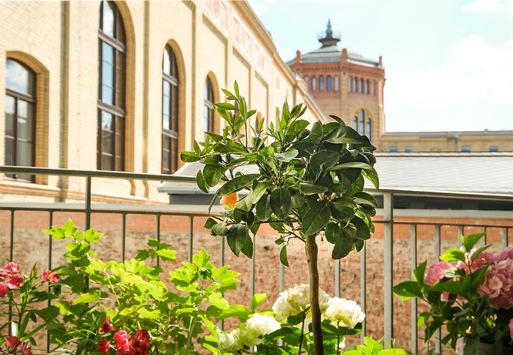 Obstbäume im Kübel: So klappt es mit der eigenen Ernte auf Balkon und Terrasse