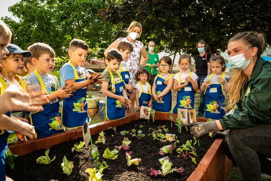 EDEKA Stiftung stärkt Ernährungskompetenz von Kindern / Mit Abstand lernen: Gemüsebeete für Kids startet wieder