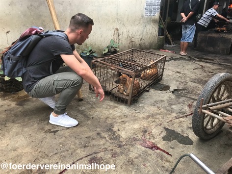 "Wie ein Gang durch die Hölle..." / Indonesien: Hunde und Katzen grausam erschlagen und anschließend verbrannt