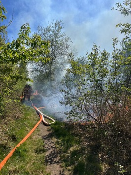 FW-SE: Feuer in einem Waldgebiet in Kaltenkirchen