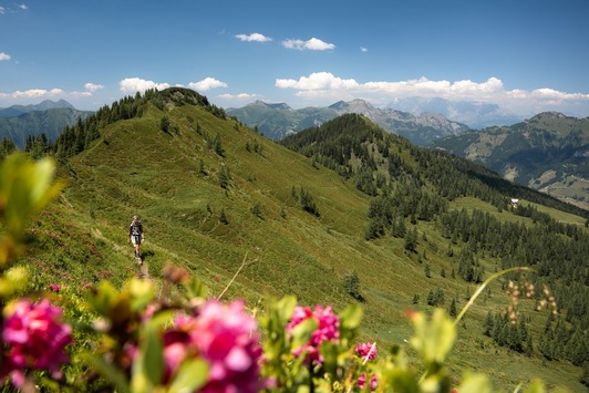 Der neue Weitwander-Trend: Sternwanderungen