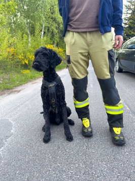 FW Lüchow-Dannenberg: +++ vermisste Seniorin löst Großeinsatz aus +++ Polizei, Feuerwehr und Rettungshunde im Einsatz +++ 83jährige nach stundenlangem Einsatz aufgefunden +++