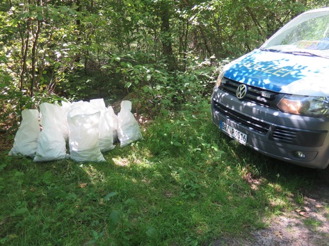 POL-DEL: Landkreis Oldenburg: Zeugenaufruf nach illegaler Müllentsorgung in Großenkneten
