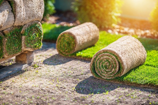 Zweck, Lage und Mischung – passende Rasensorten für den Hausgarten