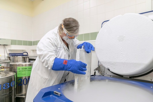 Neue Behandlung von Blutkrebs im Klinikum Nürnberg: „Sensor“ kann Tumorzellen erkennen und vernichten