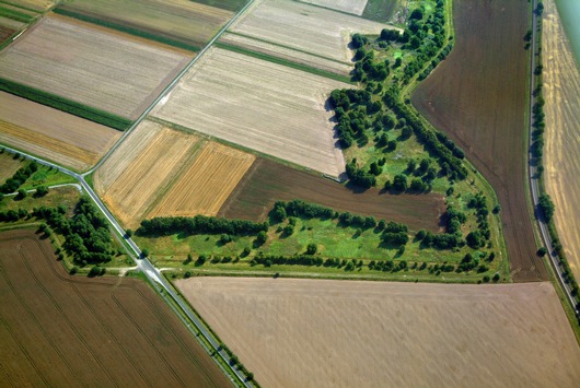 ++ Grünes Band: Lebendige Gedächtnislandschaft im 35. Jahr der Deutschen Einheit – BUND mahnt durchgängigen Schutz des größten deutschen Biotopverbunds als Nationales Natur ++