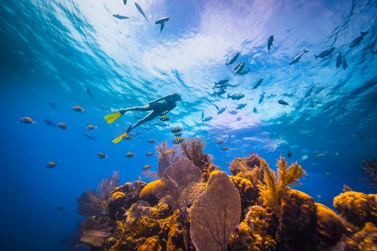 Belize authentisch erleben: Die besten Sommer-Highlights Belize authentisch erleben: Die besten Sommer-Highlights