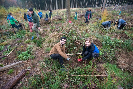 Bergwaldprojekt-Freiwillige pflanzen 200.000 Bäume in Deutschland: Nicht um den Klimawandel zu stoppen, sondern um den Wald für uns und das sich rasch ändernde Klima fit zu machen
